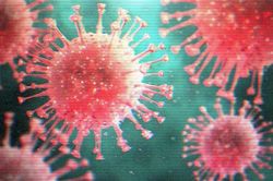 Australia tái tạo được virus Vũ Hán, bước đột phá giúp chế vaccine