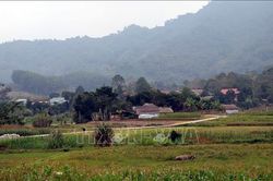 Xuân về trên quê hương cách mạng Kim Bình