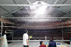 Lạ mắt ngắm đàn én hàng vạn con tại bãi cồn Long Khánh
