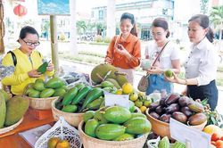 Tạo đà cho trái cây Gia Lai vươn xa