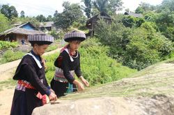 Người Mông xanh giữ nghề truyền thống