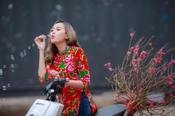 Anh đi tìm em, cô gái tháng hai...