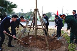 Hà Đông: Trồng gần 3.360 cây trong năm 2020