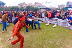 Làng quê Nghệ An mở hội vui xuân