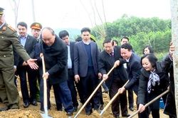 Thủ tướng dự Lễ phát động Tết trồng cây và trao Bằng công nhận nông thôn mới cho huyện Trấn Yên tỉnh Yên Bái