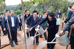 Phó Chủ tịch nước phát động 'Tết trồng cây' tại khu di tích Đền Hùng