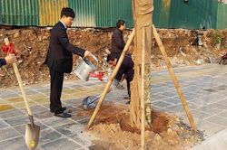 Hà Nội: Quận Cầu Giấy, huyện Hoài Đức phát động Tết trồng cây