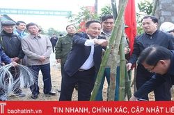 Bí thư Tỉnh ủy Hà Tĩnh Lê Đình Sơn tham gia trồng cây đầu xuân Canh Tý
