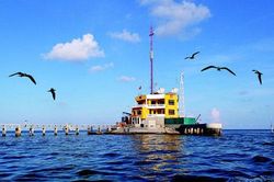 Nước mắt của người vợ lấy chồng bộ đội dịp Tết về