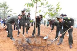Phó Chủ tịch nước Đặng Thị Ngọc Thịnh phát động Tết trồng cây tại Đền Hùng