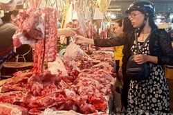 Thị trường hàng hóa TP. Hồ Chí Minh: Giá cả ổn định, nguồn cung dồi dào