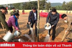 Huyện Tĩnh Gia phát động Tết trồng cây xuân Canh Tý