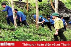 Bảo vệ rừng, phòng cháy chữa cháy rừng