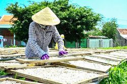 Về Đại Lãnh ăn cá cơm mồm