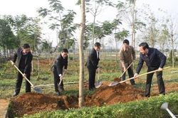 Ninh Bình phát động Tết trồng cây đầu Xuân Canh Tý