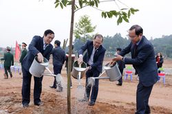 Phát động 'Tết trồng cây đời đời nhớ ơn Bác Hồ' Xuân Canh Tý