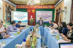 Quảng Trị có 19 sản phẩm OCOP cấp tỉnh