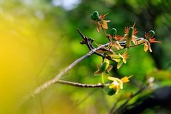 Lắng đọng cùng Xuân : Mùa xuân nghĩ về vô thường