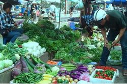 Người tiêu dùng phải mua rau xanh đắt ngang thịt sau Tết Nguyên đán