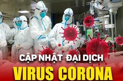 Đề nghị miễn, giảm cước gọi đến đường dây nóng phòng chống virus Corona