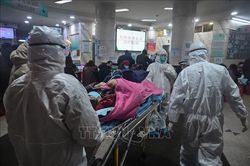WHO trấn an người dân về tuyên bố tình trạng khẩn cấp toàn cầu do virus Corona