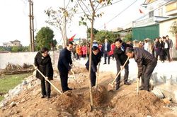 Để Tết trồng cây đạt hiệu quả thiết thực