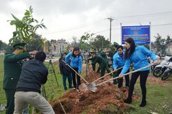 Ra quân 'Tết trồng cây – Đời đời nhớ ơn Bác Hồ' tại xã Gio Hải