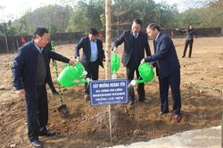 Phát động 'Tết trồng đời đời nhớ ơn Bác Hồ'