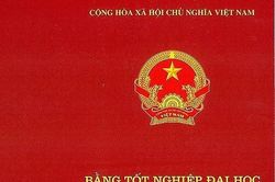 Sinh viên, học viên tốt nghiệp được cấp văn bằng kèm phụ lục văn bằng