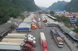Hàng trăm xe thanh long 'tắc đường' sang Trung Quốc vì virus corona