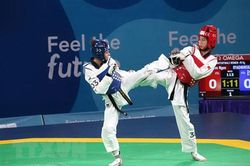 Taekwondo Hà Nội: Vững chân đế, sắc đỉnh cao