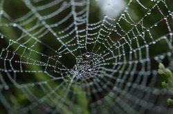 Chiếc bẫy 'ngọt ngào' của nữ điệp viên Liên Xô nổi tiếng