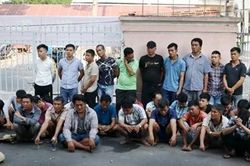 Triệt phá trường gà quy mô lớn