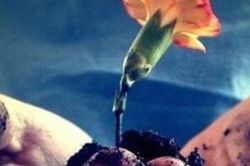 Nuôi dưỡng tình yêu để mãi được đơm hoa từng ngày
