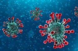 Rút ngắn thời gian xét nghiệm virus corona xuống còn 24 giờ