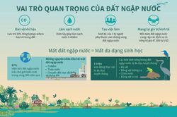 Ngày Đất ngập nước Thế giới: Nâng cao nhận thức về vai trò của các vùng đất ngập nước