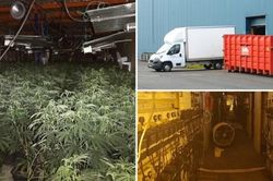 Ba người Việt Nam hé lộ cuộc sống 'nô lệ' trong trang trại cần sa Anh