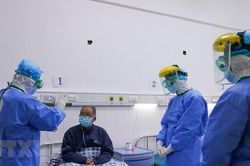 Số bệnh nhân bị sốt do virus corona tại Trung Quốc đang giảm dần