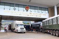 Bộ Công Thương đề xuất hỗ trợ tiêu thụ nông sản khi xuất khẩu khó khăn do dịch Corona