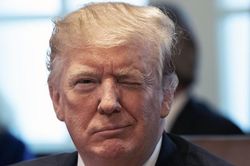 Ông Trump chế giễu bầu cử sơ bộ 'thảm họa' của đảng Dân chủ