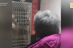 Mẹ già nức nở đưa đồ ăn cho con trai bị cách li vì nghi nhiễm virus corona
