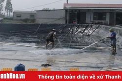 Huyện Hậu Lộc triển khai nuôi trồng thủy sản vụ xuân hè