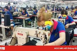 Rộn ràng những ngày làm việc đầu năm