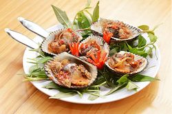 Nuôi sò huyết dưới tán rừng ngập mặn