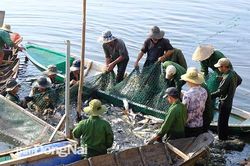 Kéo cá đầu năm trên hồ Sông Mây
