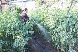 Vai trò lãnh đạo của cấp ủy Đảng trong thực hiện tín dụng chính sách xã hội