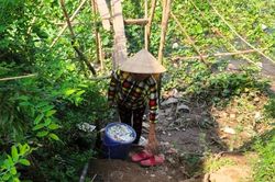 Hàng chục tấn cá nuôi trên sông Cái Vừng chết do thiếu oxy