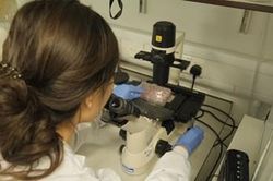 Bước tiến trong phát triển vaccine chống virus corona