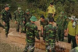Thu giữ nhiều khối gỗ bị khai thác trái phép