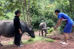 Niềm vui ở bản tái định cư